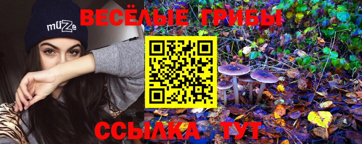 Тосно  Галлюциногенные грибы GOLDEN TEACHER  Вход с VPN  Галлюциногенные грибы мицелий 