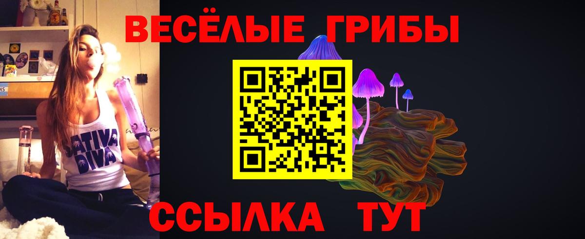 Галлюциногенные грибы GOLDEN TEACHER Тосно