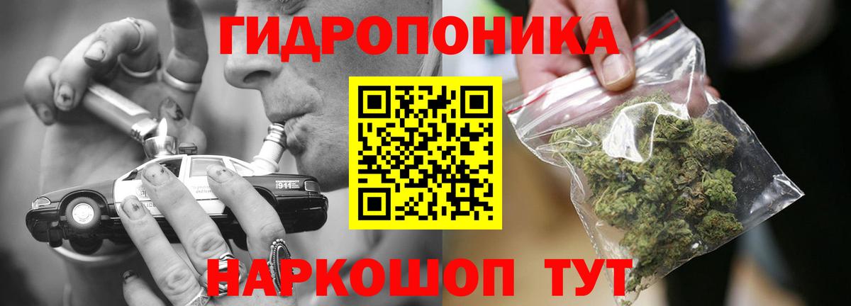 Каннабис планчик Тосно